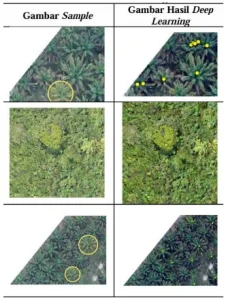 Ketidaksuaian tree counting menggunakan metode Mask R-CNN